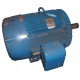 AC Three Phase Electric Motors